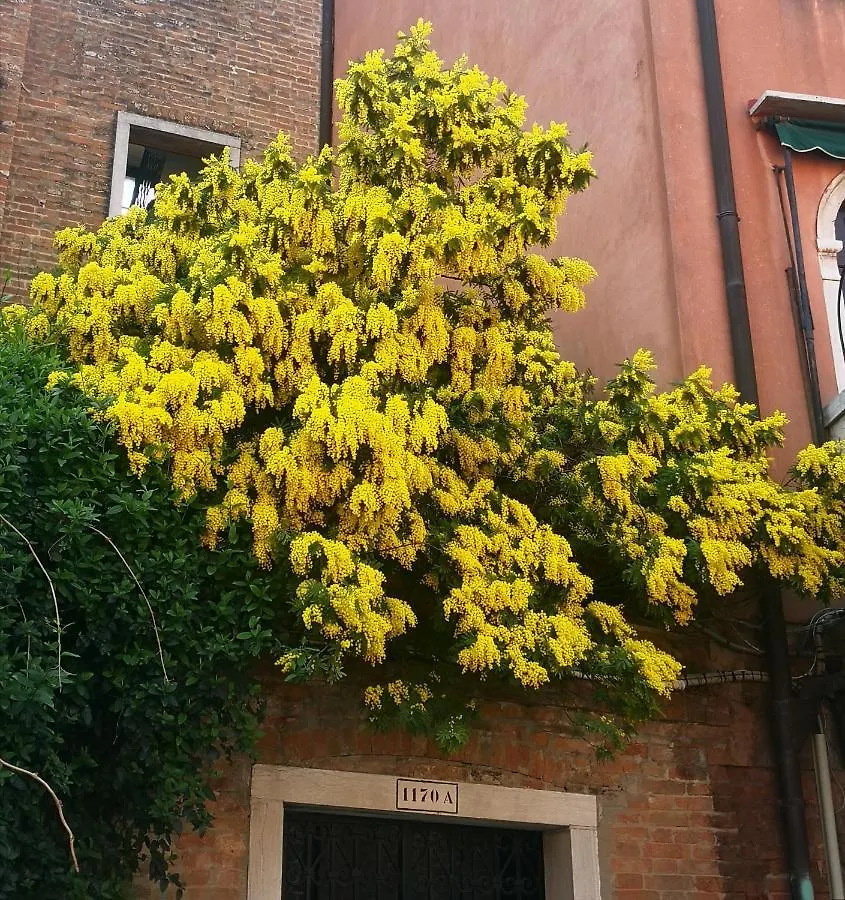 Cinqueteste Luxury Home Venice Guest house